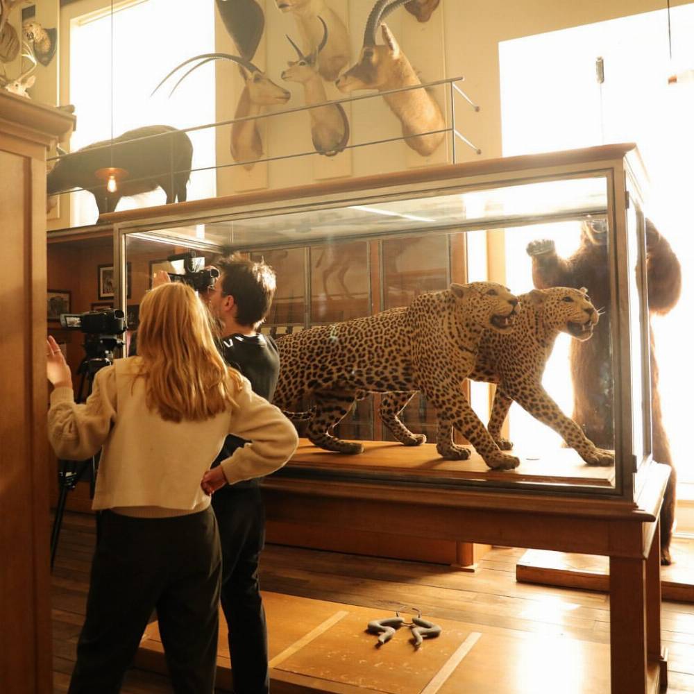 Musée de la Chasse et de la Nature, Paris