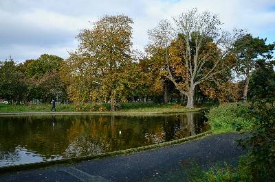 Meilleurs Parcs pour se Reposer à Dublin