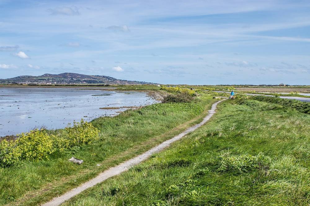 North Bull Island, Dublin