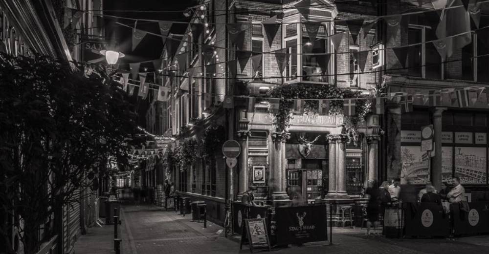 The Stags Head, Pub Traditionnel à Dublin