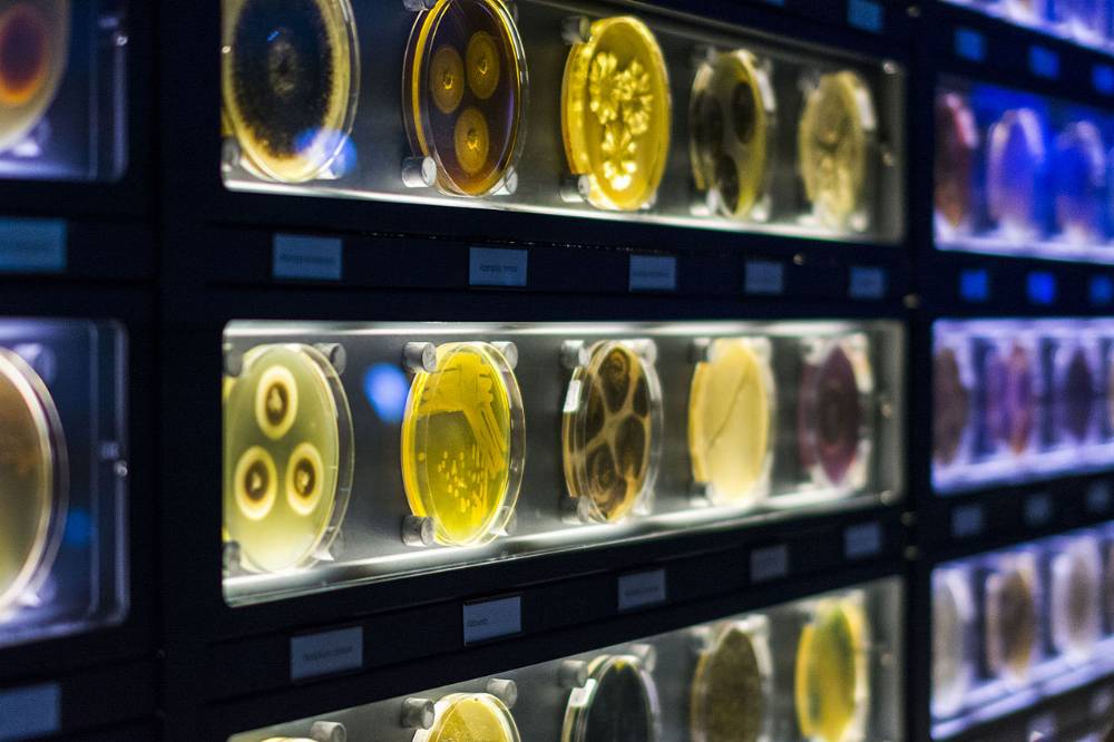 Micropia, Musée Insolite à Amsterdam