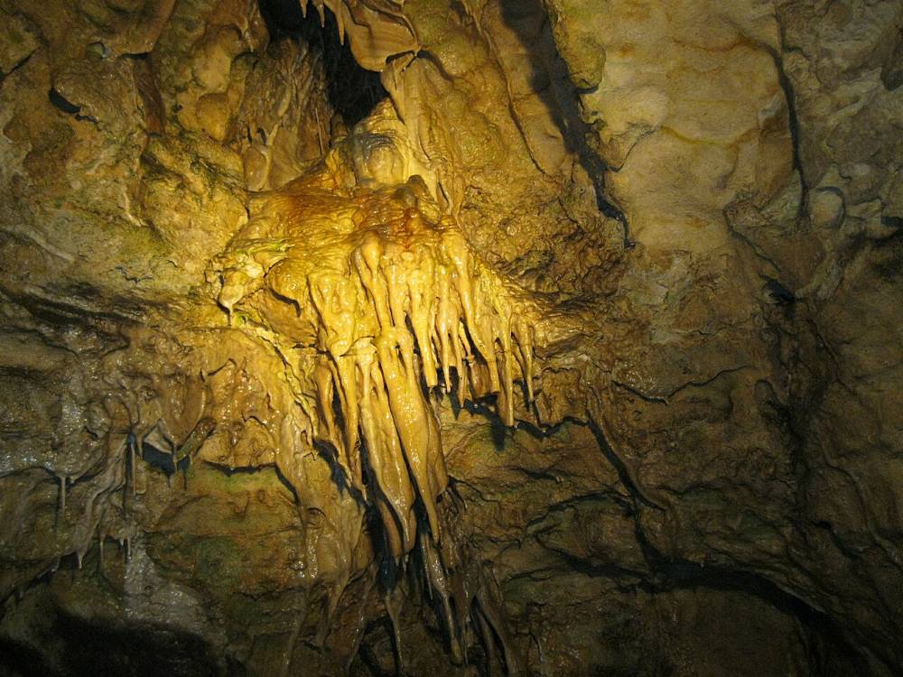 Grotte Palvolgyi, Budapest