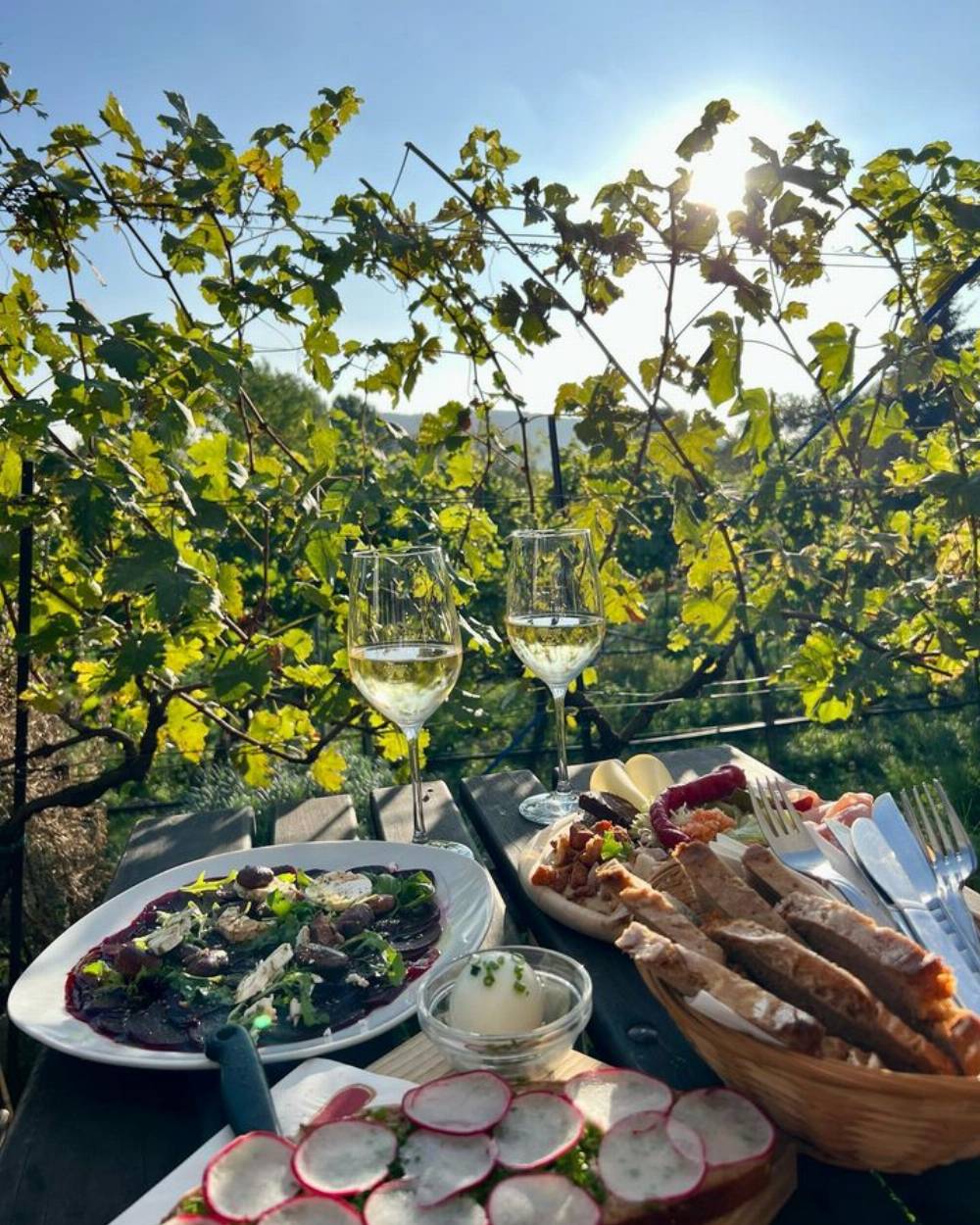 Weingut Walter Wien, Bar à Vin de Vienne, Autriche